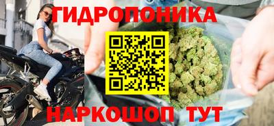 сатива Краснокаменск