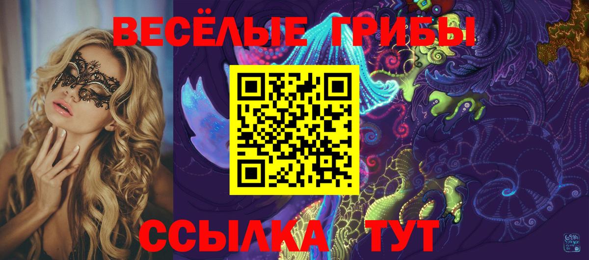 Кемерово  Галлюциногенные грибы Psilocybe  Вход с VPN 